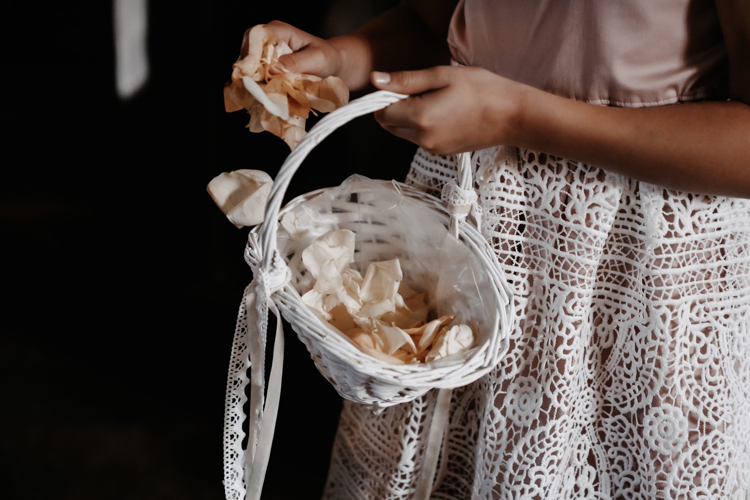 03DF44E3-7F81-44EE-9472-EC5442E6E9AB