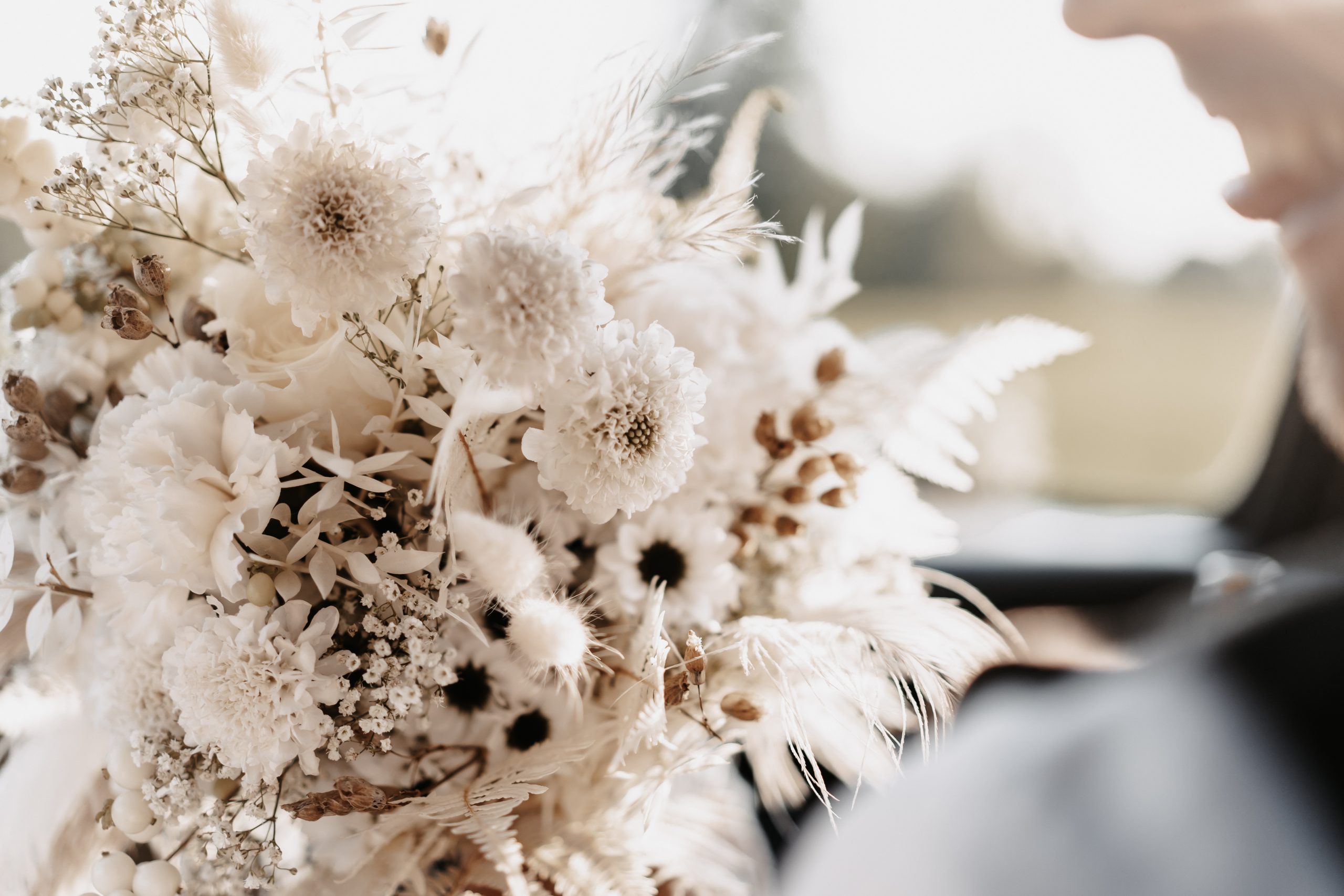 16EF5072-DECE-412D-AC2C-F19D6300EFBB