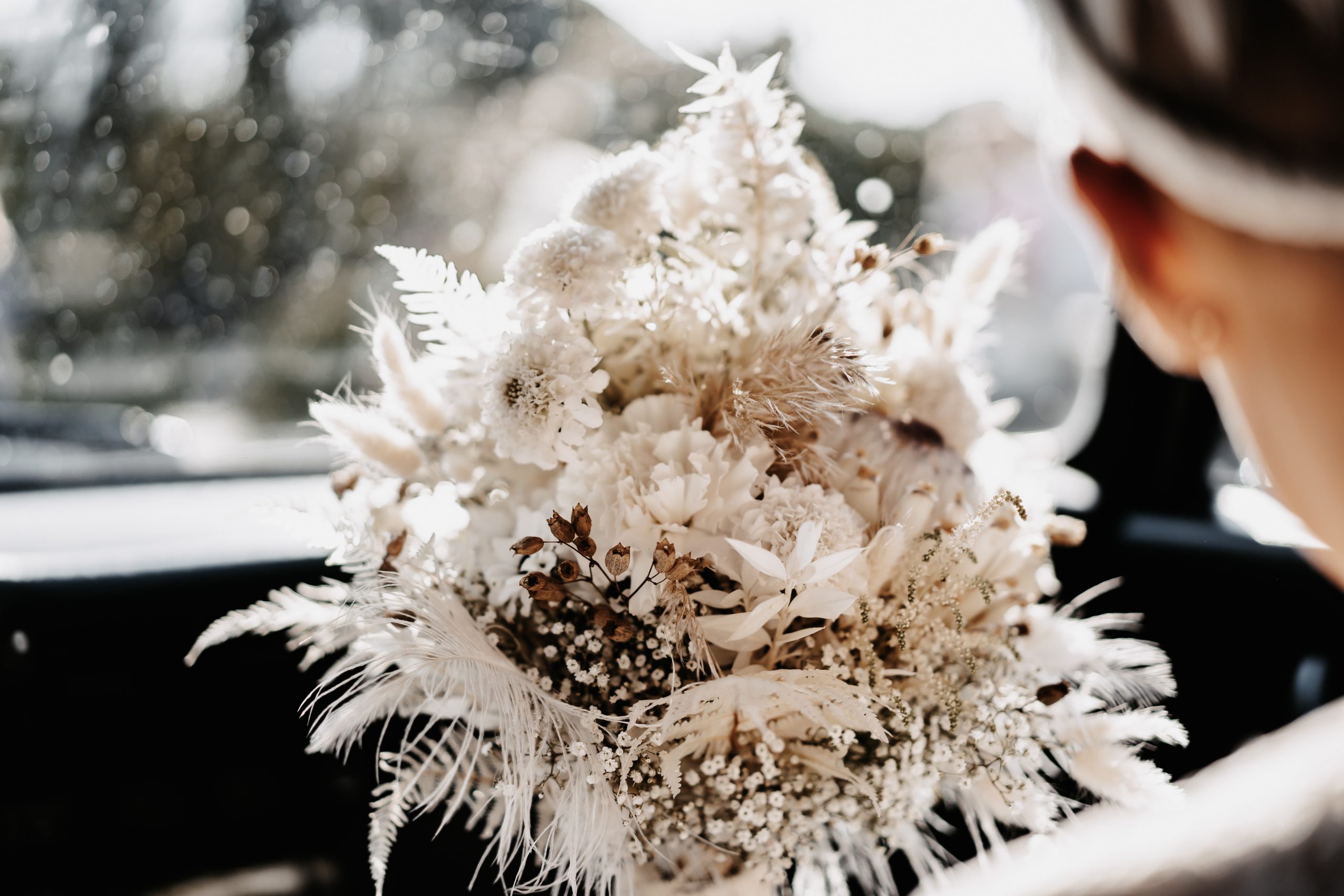 2A3032F7-AA24-4202-AB9E-99DAF968BAD6