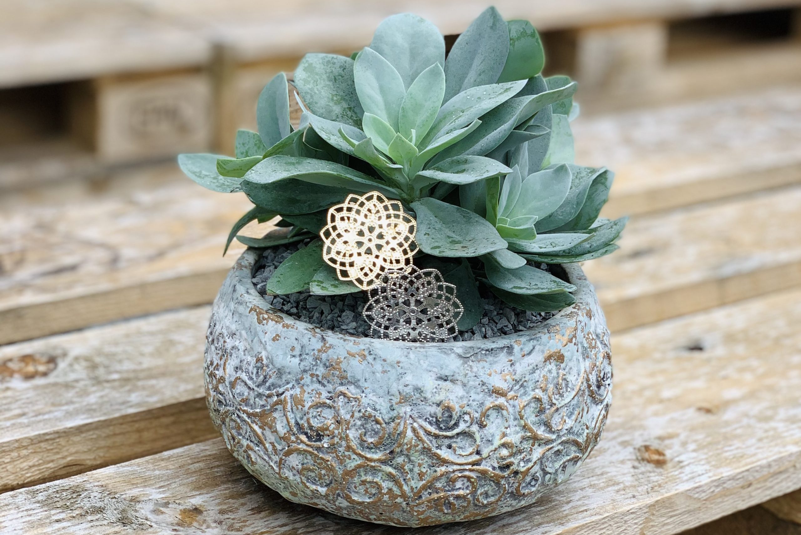 6A8AD37C-D2E1-4258-B69B-180019604F56