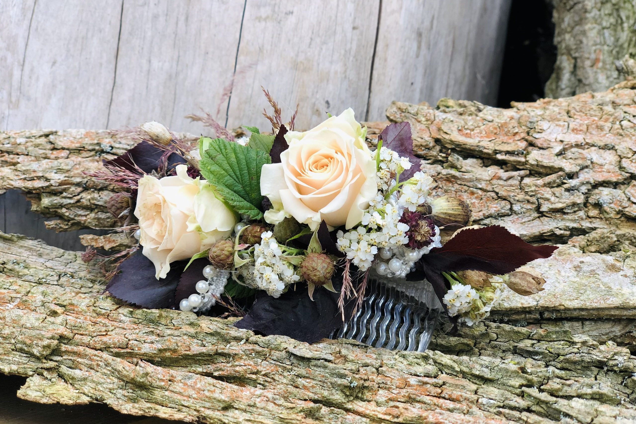 9EC31C2B-E6A4-4858-885B-CB8014077D6A